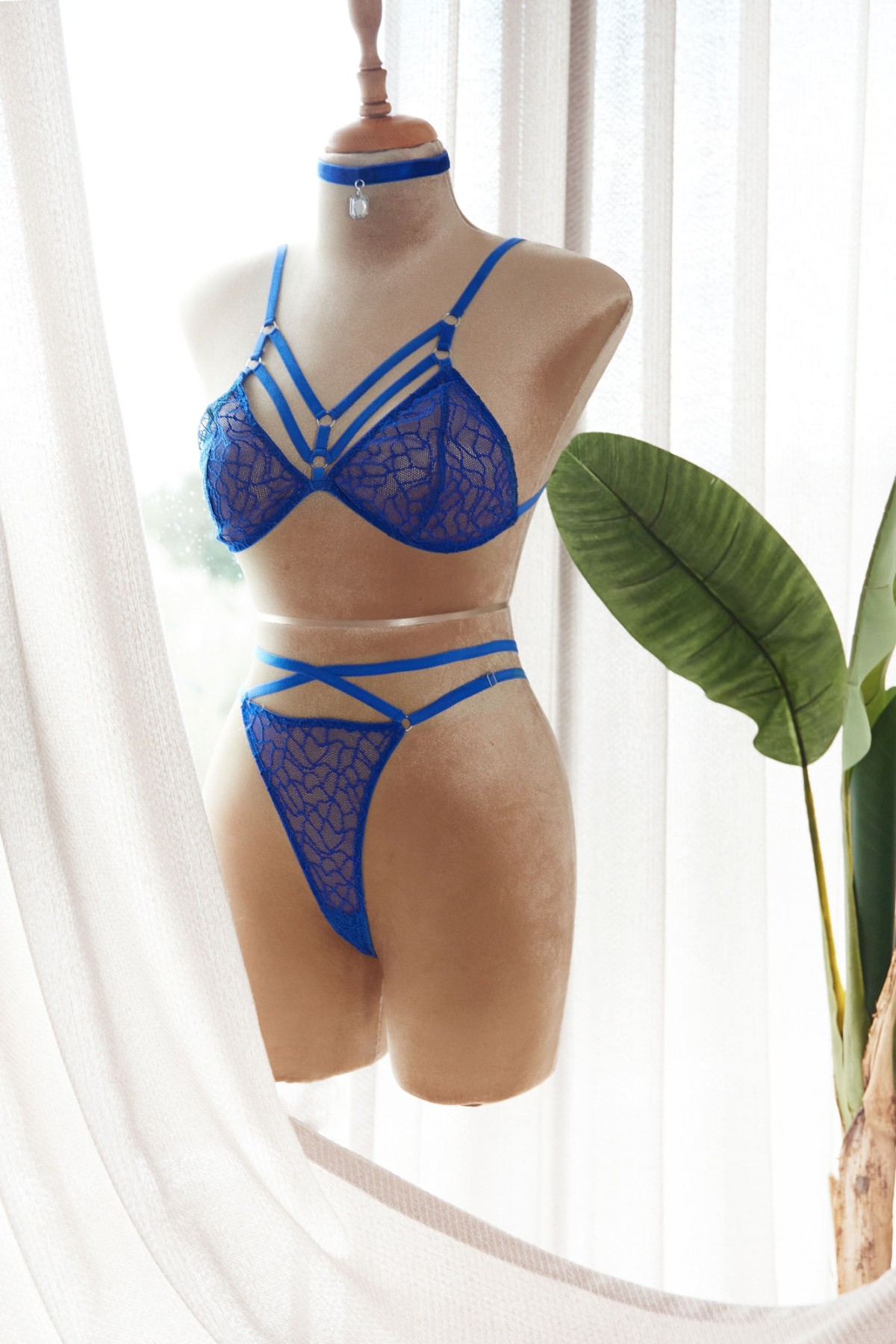 Lingerie